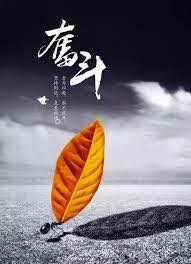 我們在尋找一起打拼的夥伴