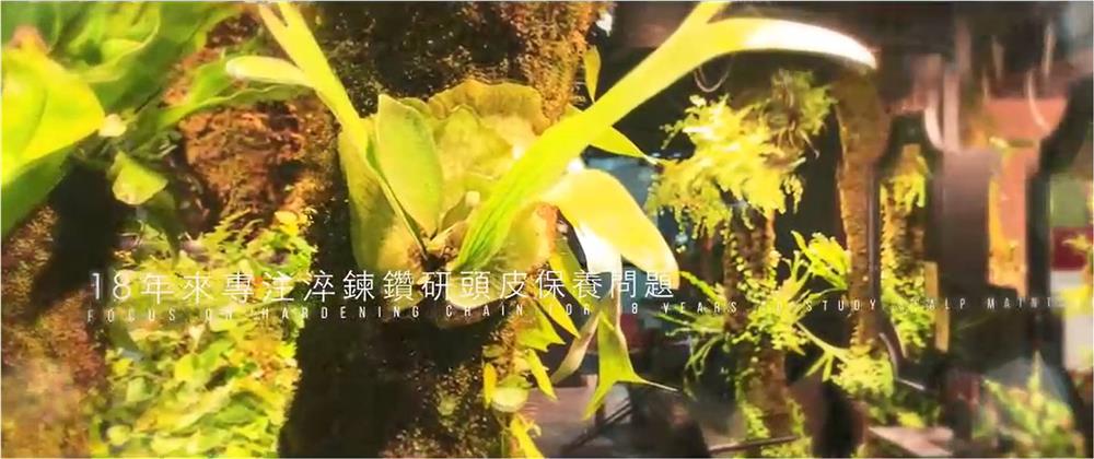 勝悅 - 完美套餐組合推薦
