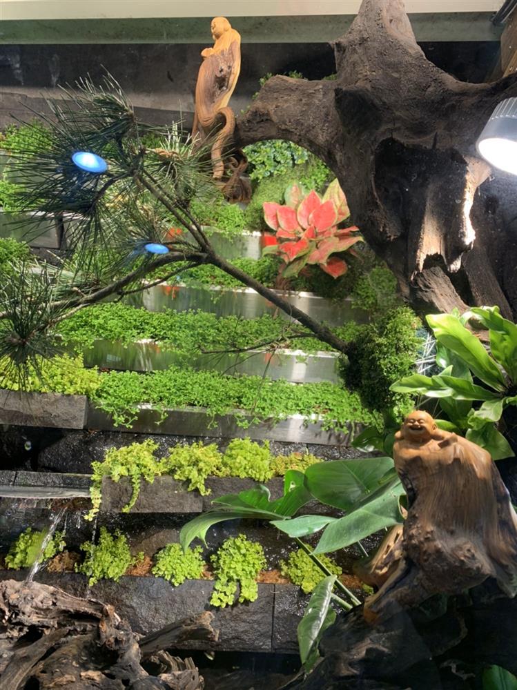 勝悅威尼斯店_水草景觀改造完成