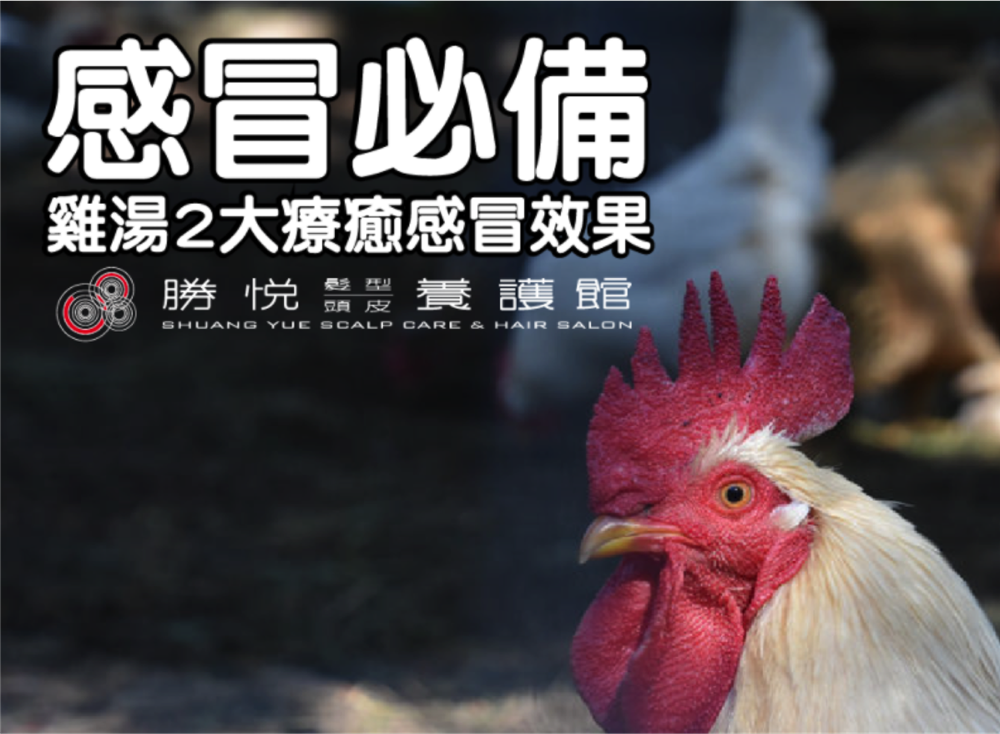 感冒必備，雞湯對感冒有2大療癒效果！