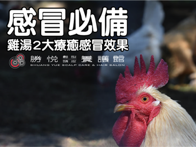 感冒必備，雞湯對感冒有2大療癒效果！