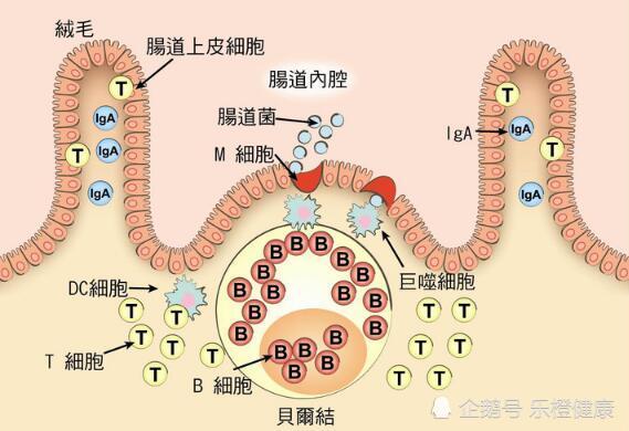 養生知識